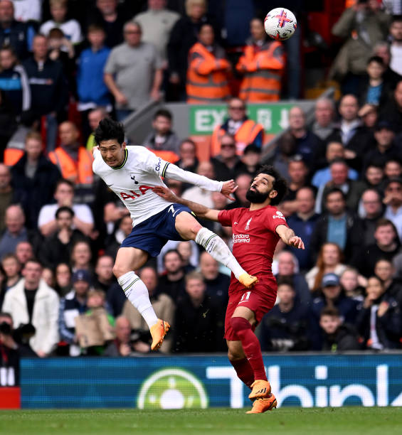 像费德勒 像费德勒