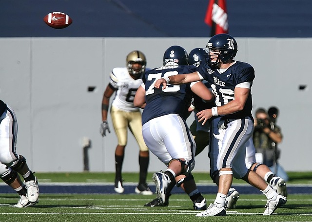 福伊特的情 福伊特的情